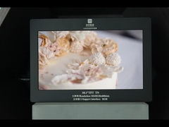 10.1 इंच 1024X600