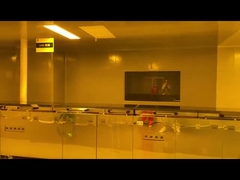 विकासशील रेखा