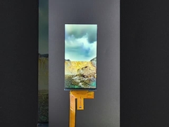 6 इंच 1080*2160 रिज़ॉल्यूशन एलसीडी टीएफटी मॉड्यूल एमआईपीआई इंटरफेस ड्राइविंग आईसी HX8399C