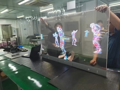 Amoled प्रदर्शन मॉड्यूल