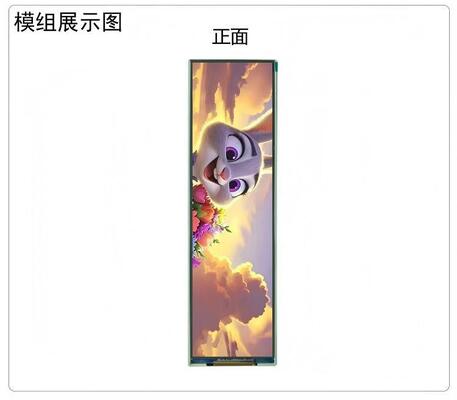 8.88" Transflective TFT Module,480X1920 Resolution,MIPI Interface, Driver IC 7290,ALL VIEW, High definition screen 1100nit,16.7M